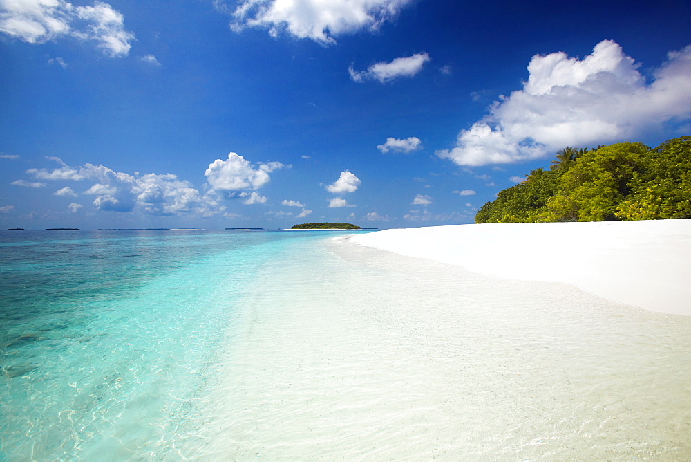 Tropical beach, Baa Atoll, Maldives, Indian Ocean, Asia 