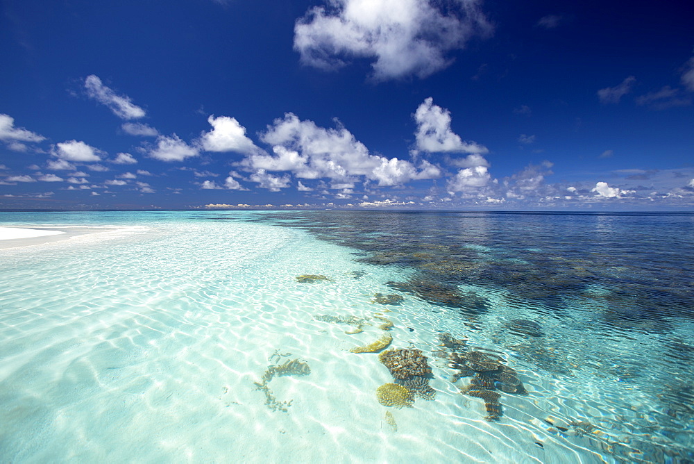 Tropical lagoon and coral reef, Baa Atoll, Maldives, Indian Ocean, Asia