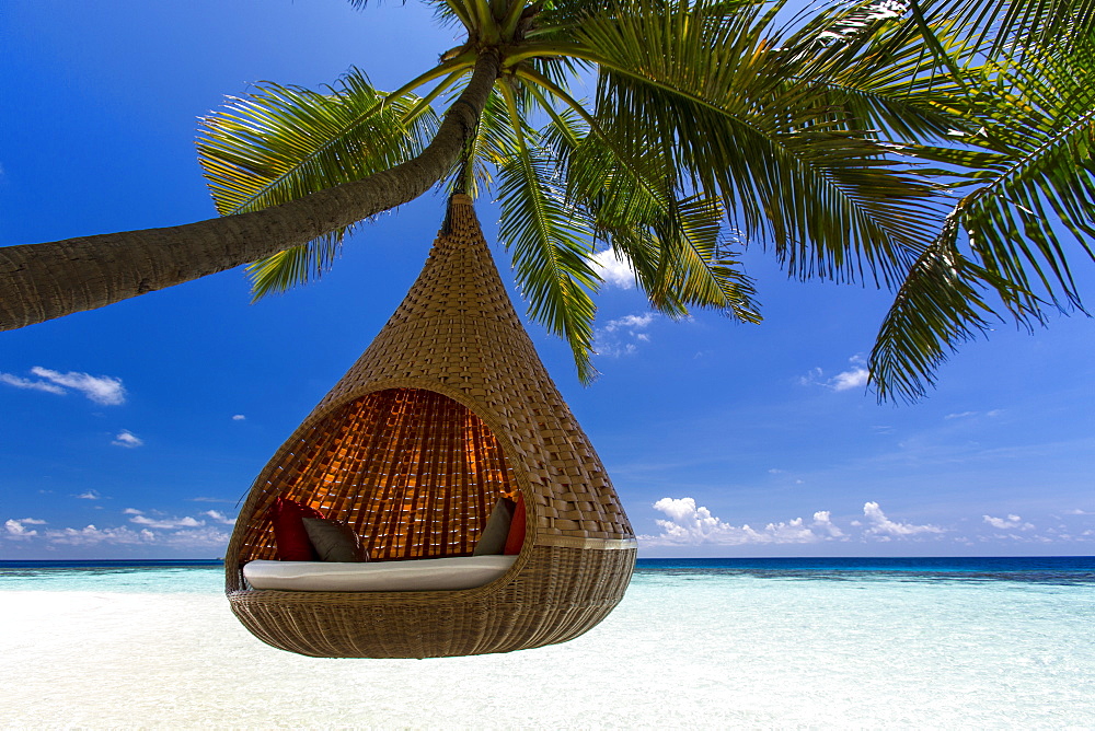 Sofa hanging on a tree on the beach, Maldives, Indian Ocean, Asia