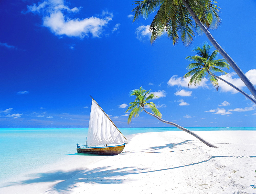 Dhoni (traditional boat) moored by empty beach, Maldives, Indian Ocean, Asia