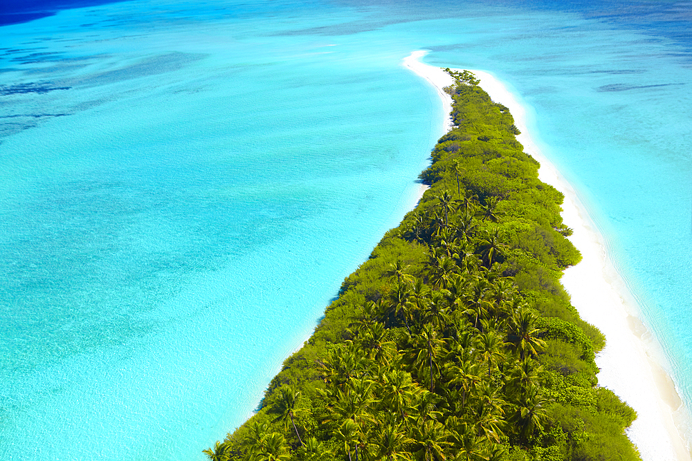 Aerial drone view of beautiful tropical island beach with palm trees, The Maldives, Indian Ocean, Asia