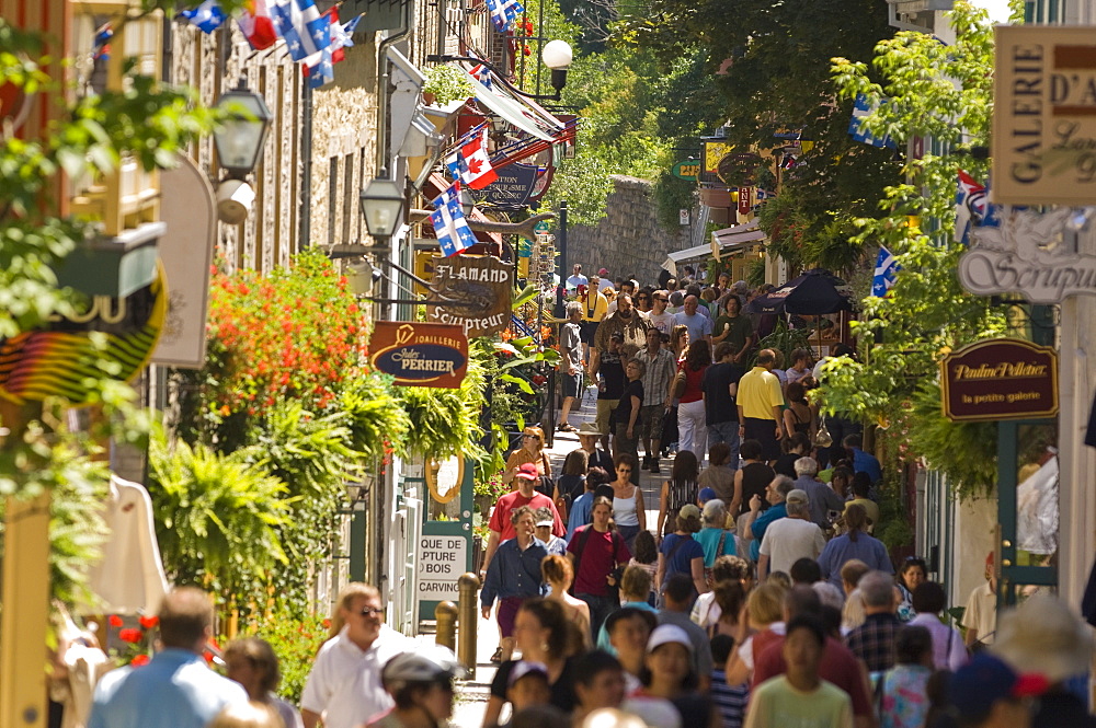 People walking on Rue du Petit Champlain, Quebec City, Quebec, Canada, North America