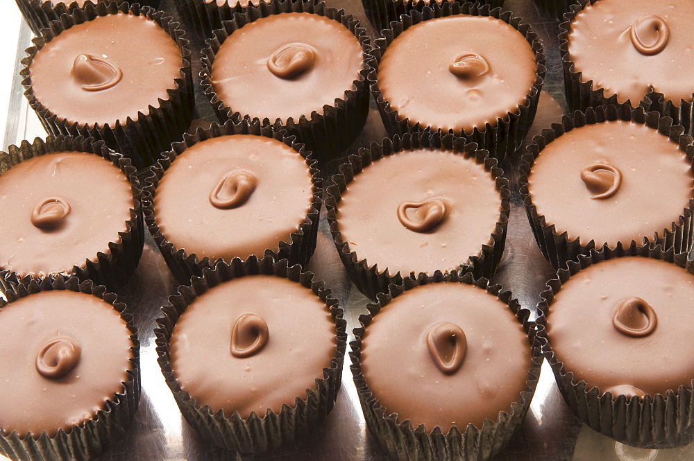 Chocolates at the Ganong Chocolate factory, New Brunswick, Canada, North America