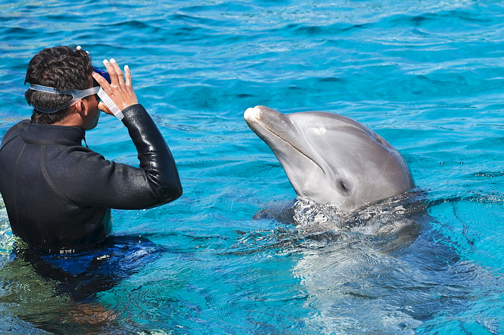 Dolphin Discovery at Chankanaab Park, Isla de Cozumel (Cozumel Island), Cozumel, off the Yucatan, Quintana Roo, Mexico, North America