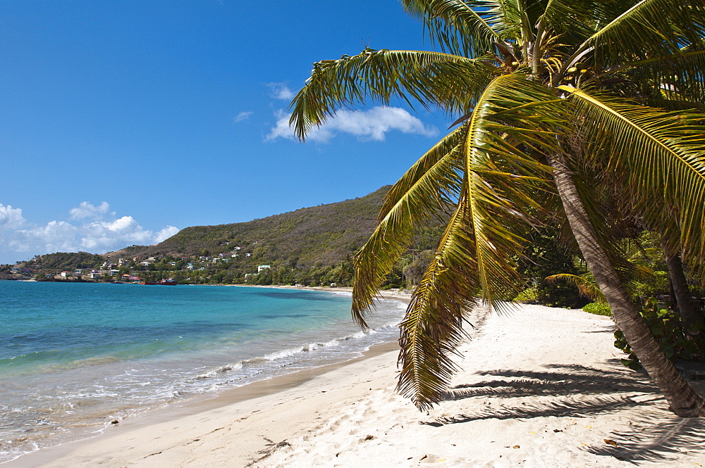 Friendship Bay beach, Bequia, St. Vincent and The Grenadines, Windward Islands, West Indies, Caribbean, Central America