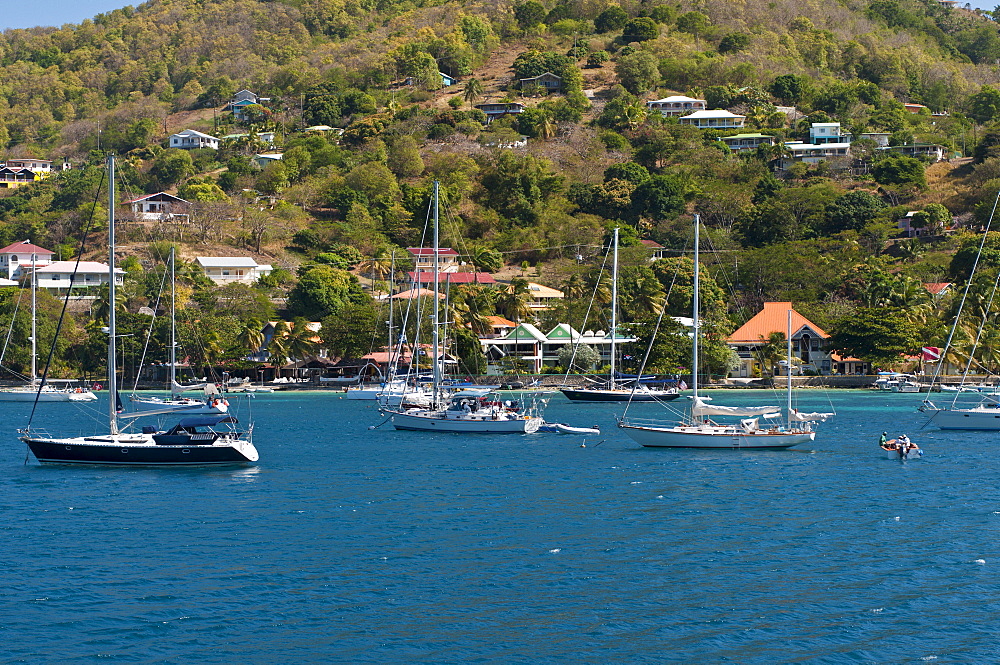 Port Elizabeth harbour, Bequia, St. Vincent and The Grenadines, Windward Islands, West Indies, Caribbean, Central America