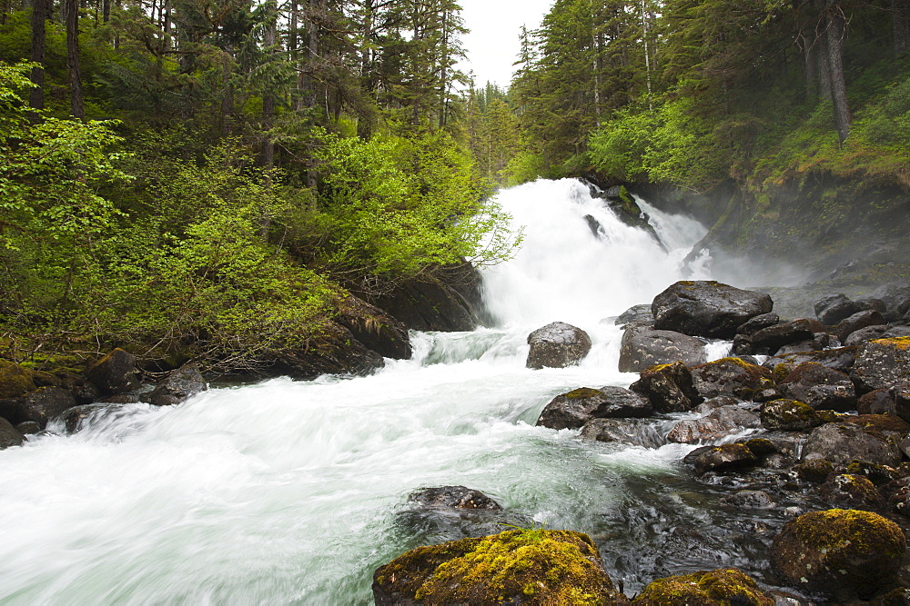 Cascade Creek, Thomas Bay region of Southeast Alaska, Alaska, United States of America, North America