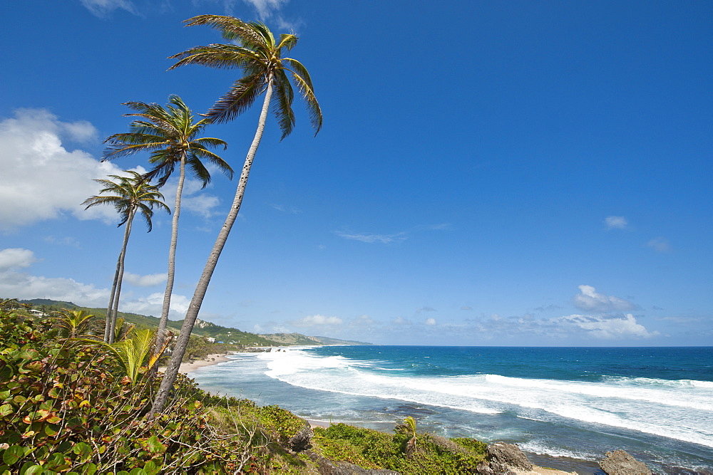 Bathsheba Beach, Barbados, Windward Islands, West Indies, Caribbean, Central America