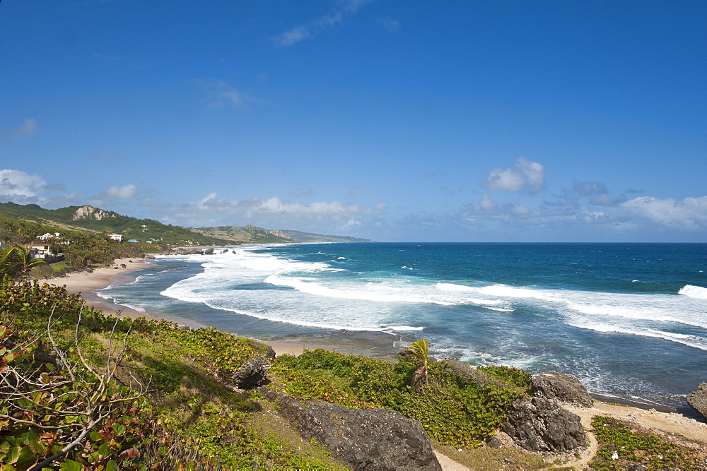 Bathsheba Beach, Barbados, Windward Islands, West Indies, Caribbean, Central America