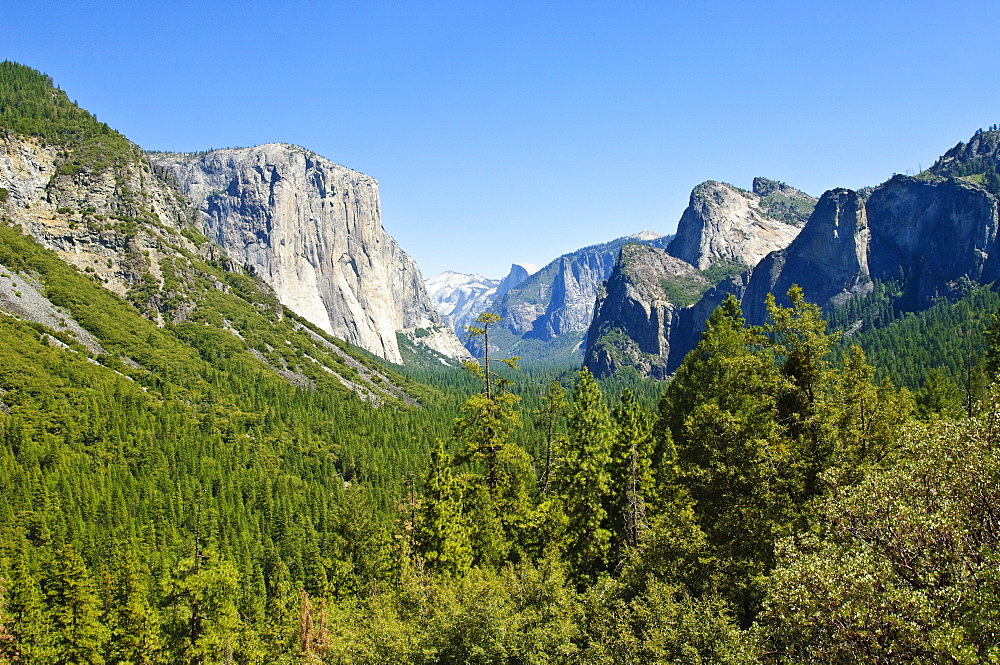 El Capitan and Yosemite Valley, Yosemite National Park, UNESCO World Heritage Site, California, United States of America, North America