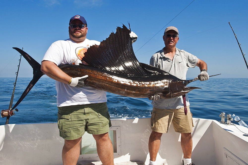 Deep-sea sports-fishing for sailfish, Puerto Vallarta, Jalisco, Mexico, North America