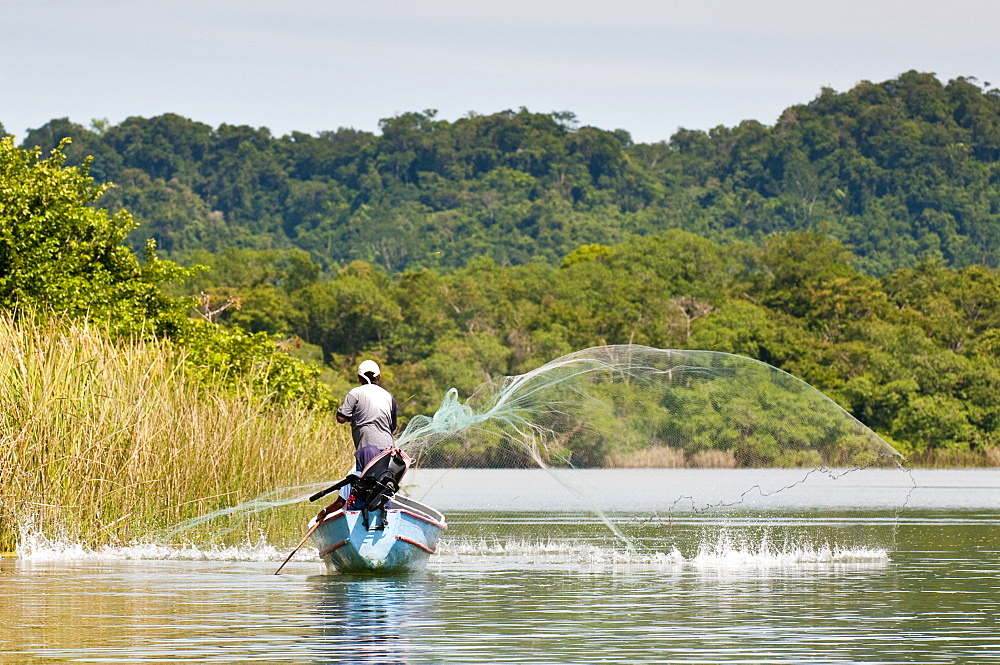 Fisherman casting net on Lake Izabal (Lago de Izabal), Guatemala, Central America