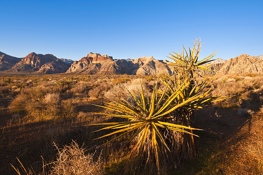 Red Rock Canyon outside Las Vegas, Nevada, United States of America, North America