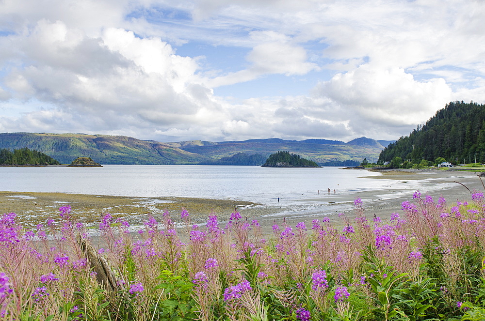 Haida Gwaii (Queen Charlotte Islands), British Columbia, Canada, North America 