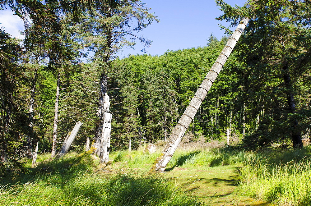 Skedans (Koona) (Koona Llnagaay) (Koona Llnaagay) ancient site in Haida Gwaii (Queen Charlotte Islands), British Columbia, Canada, North America 