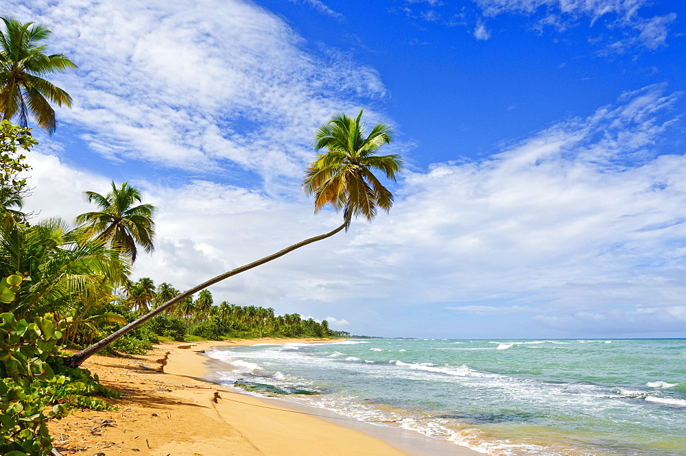 Tres Palmitas Beach, Puerto Rico, West Indies, Caribbean, Central America