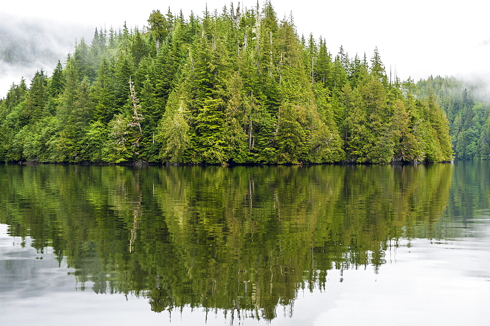 Coastal scenery in Great Bear Rainforest, British Columbia, Canada, North America 