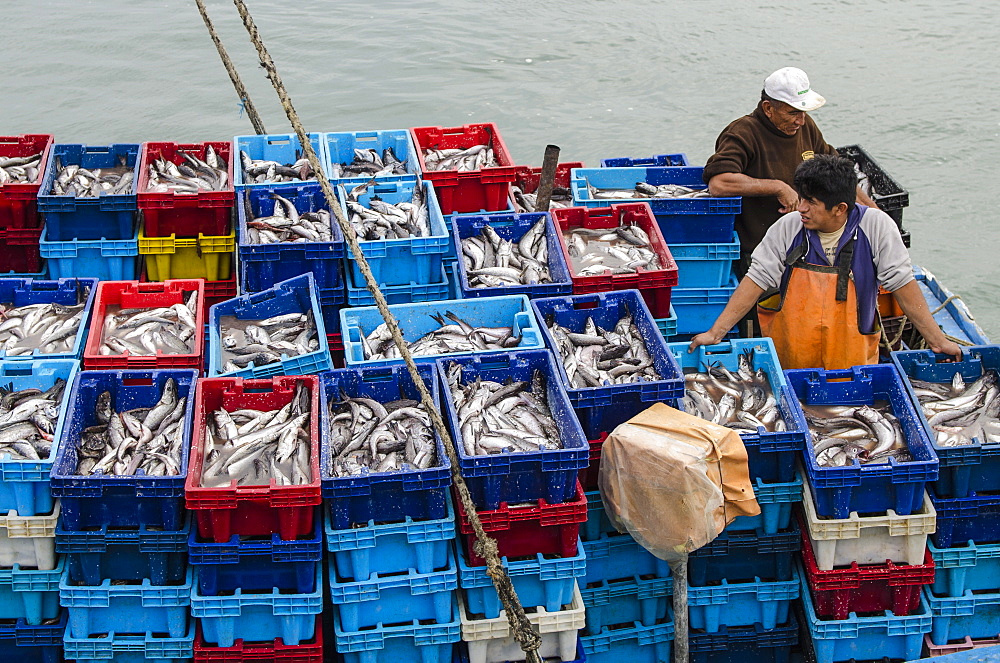 Sardine fishermen in Los Organos village near Mancora, Peru, South America