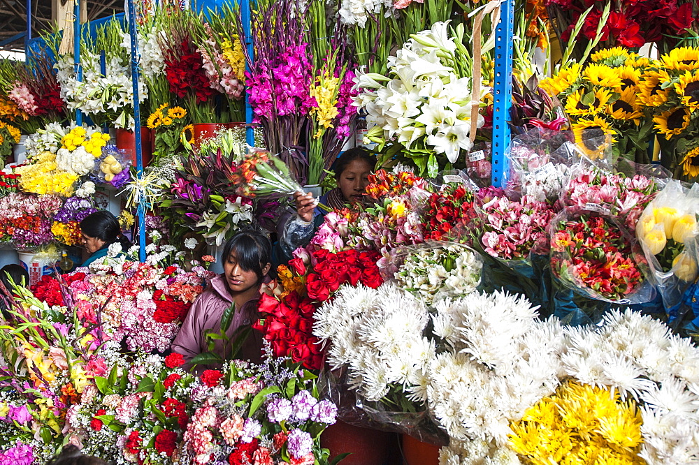 Flowers in local market Cuzco, Peru, South America