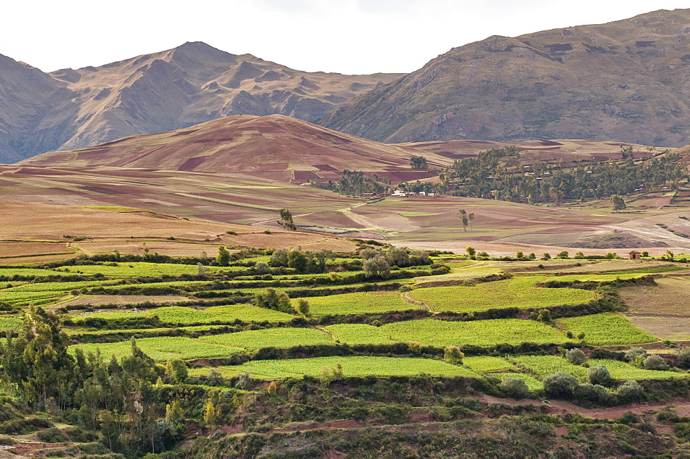 Landscape above the Sacred Valley near Maras, Peru, South America