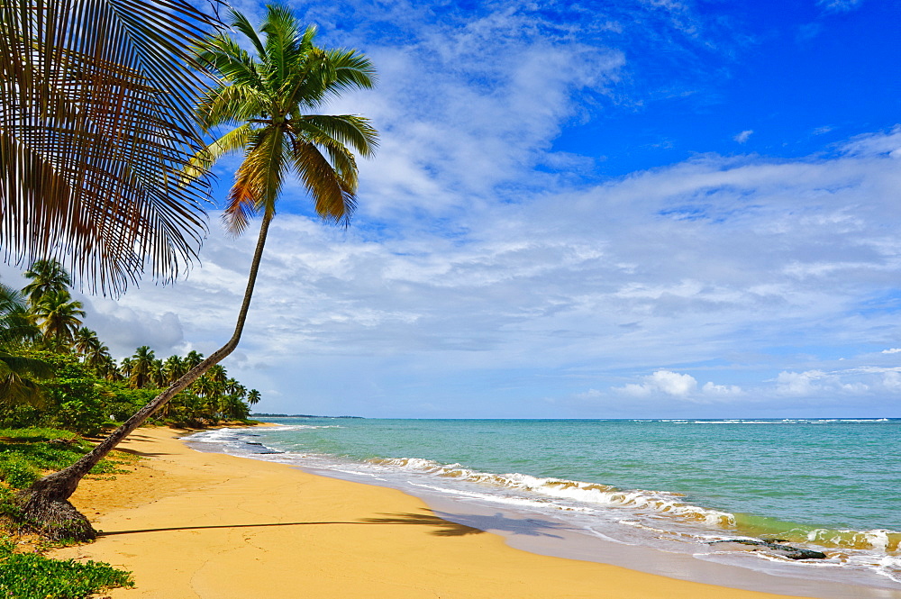 Tres Palmitas Beach, Puerto Rico, West Indies, Caribbean, Central America