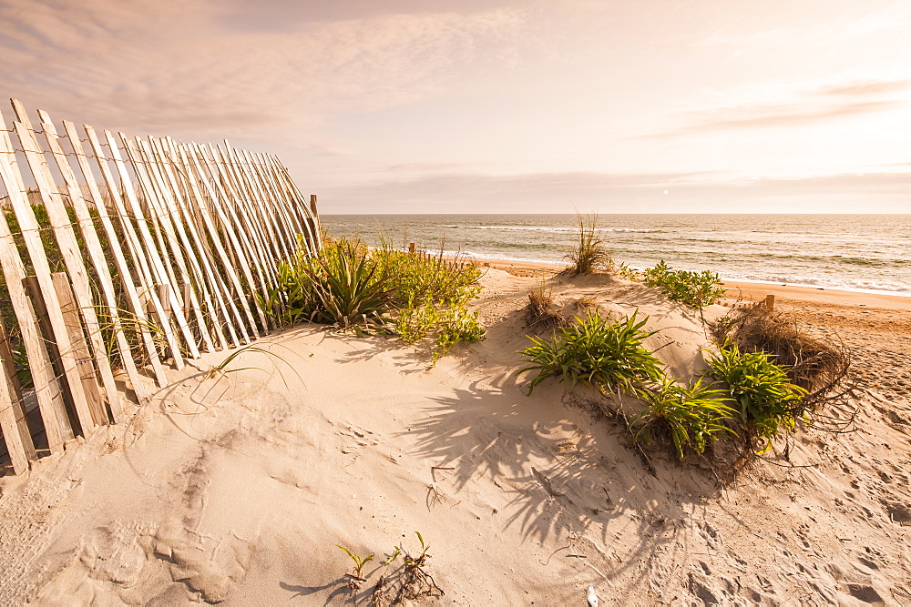 Beach near Kitty Hawk, Outer Banks, North Carolina, United States of America, North America