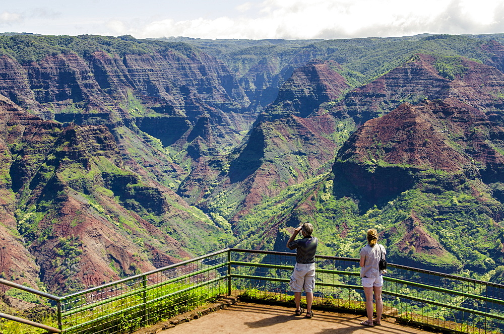 Puu Hinahina Lookout, Waimea Canyon State Park, Kauai, Hawaii, United States of America, Pacific