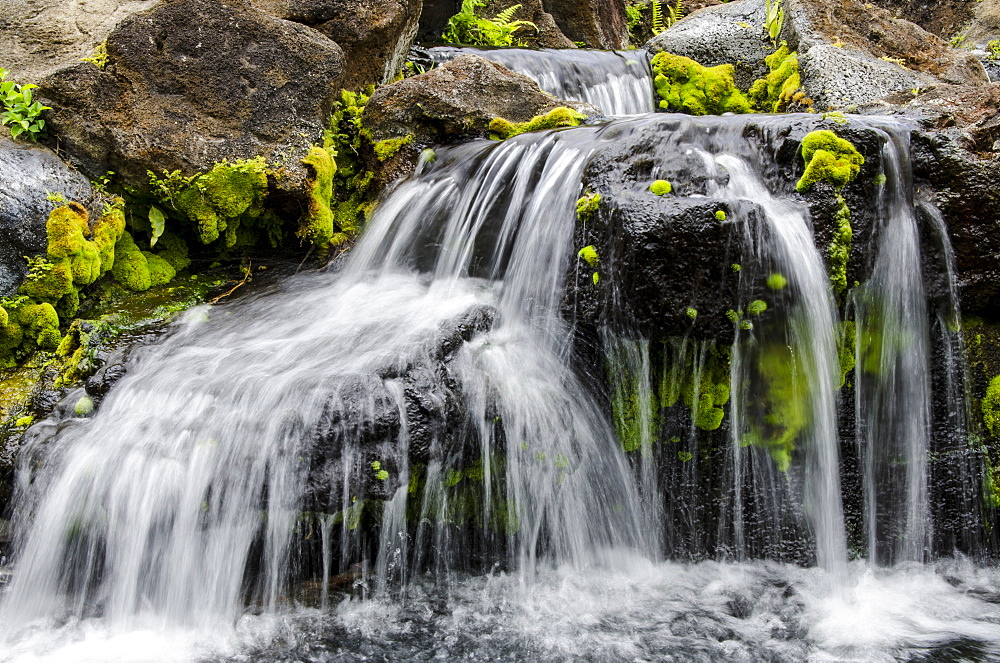 Small stream cascading over rocks in mountains of Kilauea, Kauai, Hawaii, United States of America, Pacific