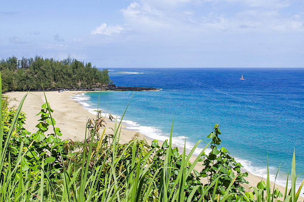 Waikoko Beach, Kauai, Hawaii, United States of America, Pacific