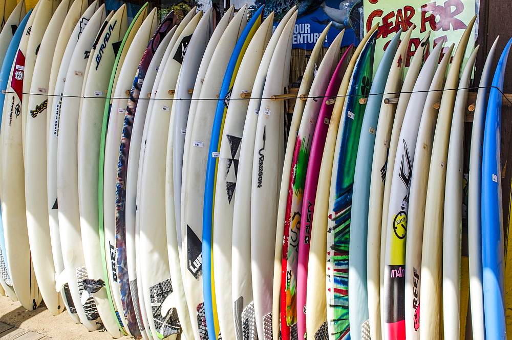 Surf shop in Haleiwa, North Shore Oahu, Hawaii, United States of America, Pacific