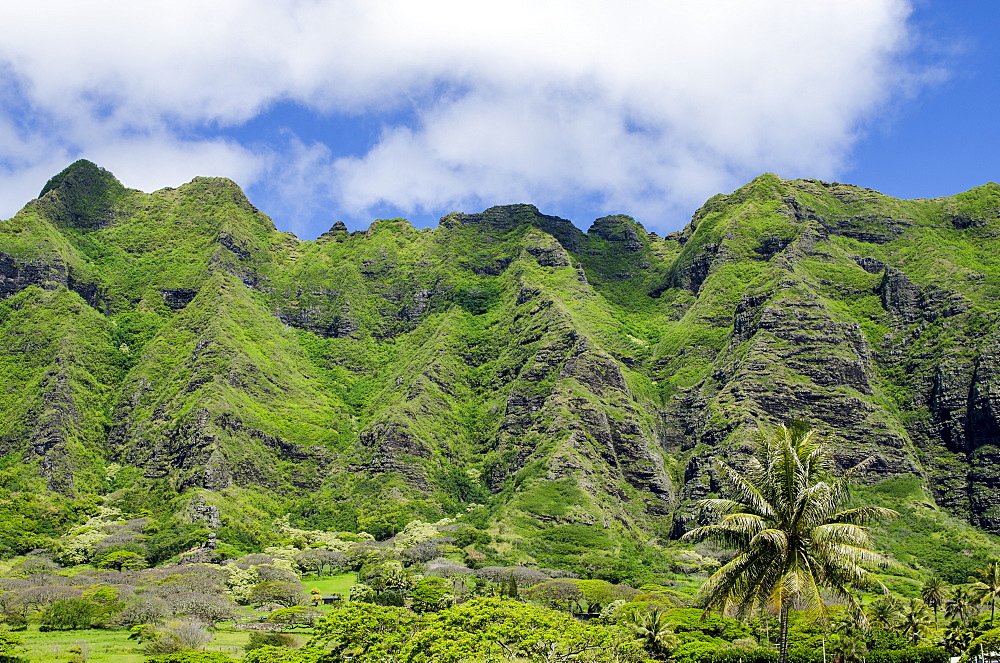 Hau'ula Forest Reserve, Koolau Mountain Rage, Oahu, Hawaii, United States of America, Pacific