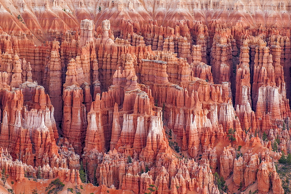 Bryce Canyon National Park Utah, United States of America, North America