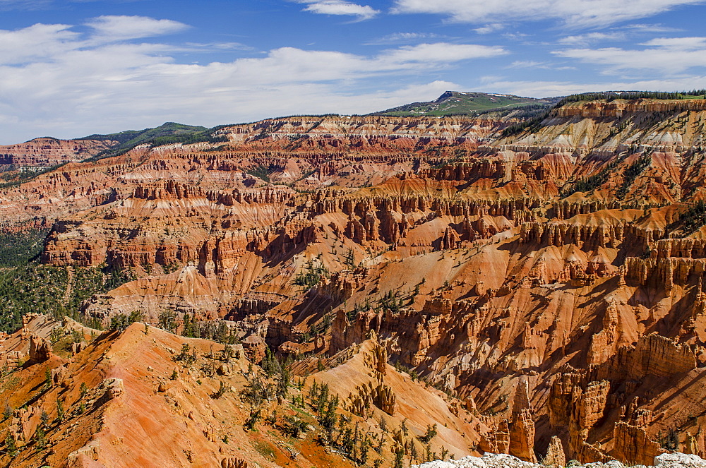 Cedar Breaks National Monument, Dixie National Forest, Utah, United States of America, North America