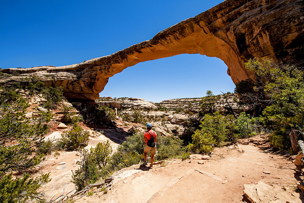 Owachomo Bridge, Natural Bridges National Monument, Utah, United States of America, North America