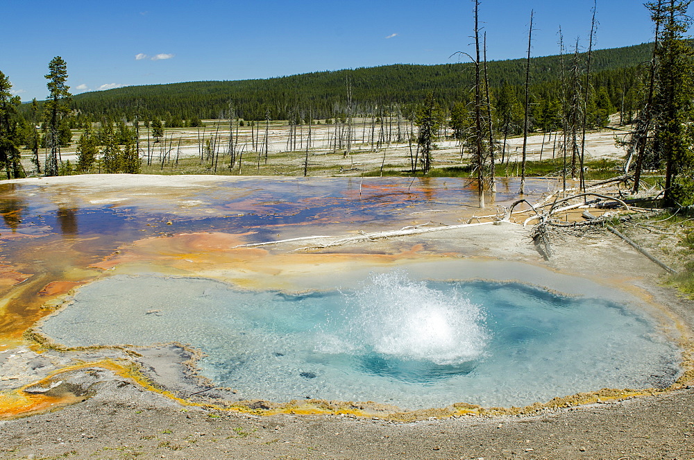 Firehole Spring, Yellowstone National Park, UNESCO World Heritage Site, Wyoming, United States of America, North America