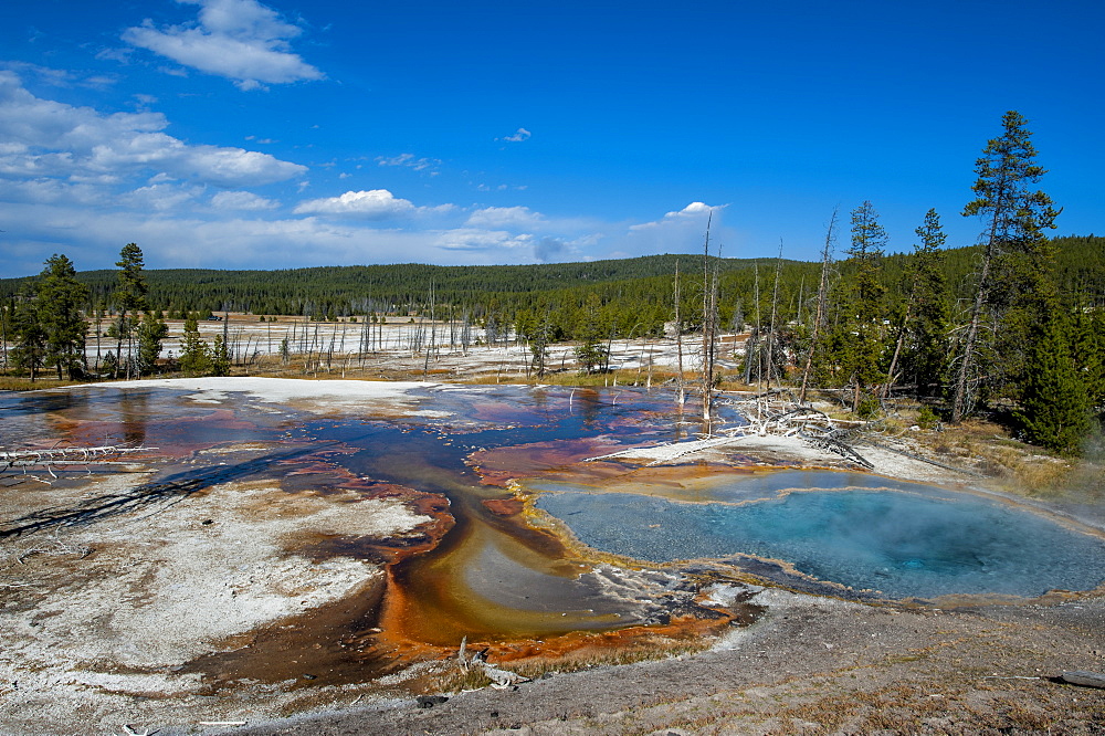 Firehole Spring, Yellowstone National Park, UNESCO World Heritage Site, Wyoming, United States of America, North America