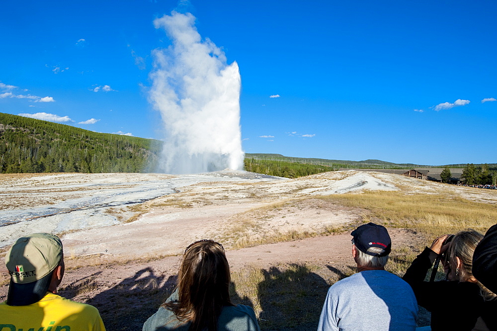 Old Faithful Geyser, Yellowstone National Park, UNESCO World Heritage Site, Wyoming, United States of America, North America