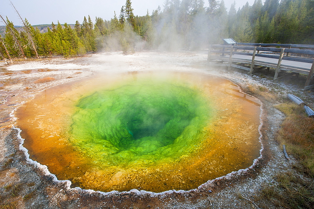 Morning Glory Pool in Upper Geyser Basin, Yellowstone National Park, UNESCO World Heritage Site, Wyoming, United States of America, North America