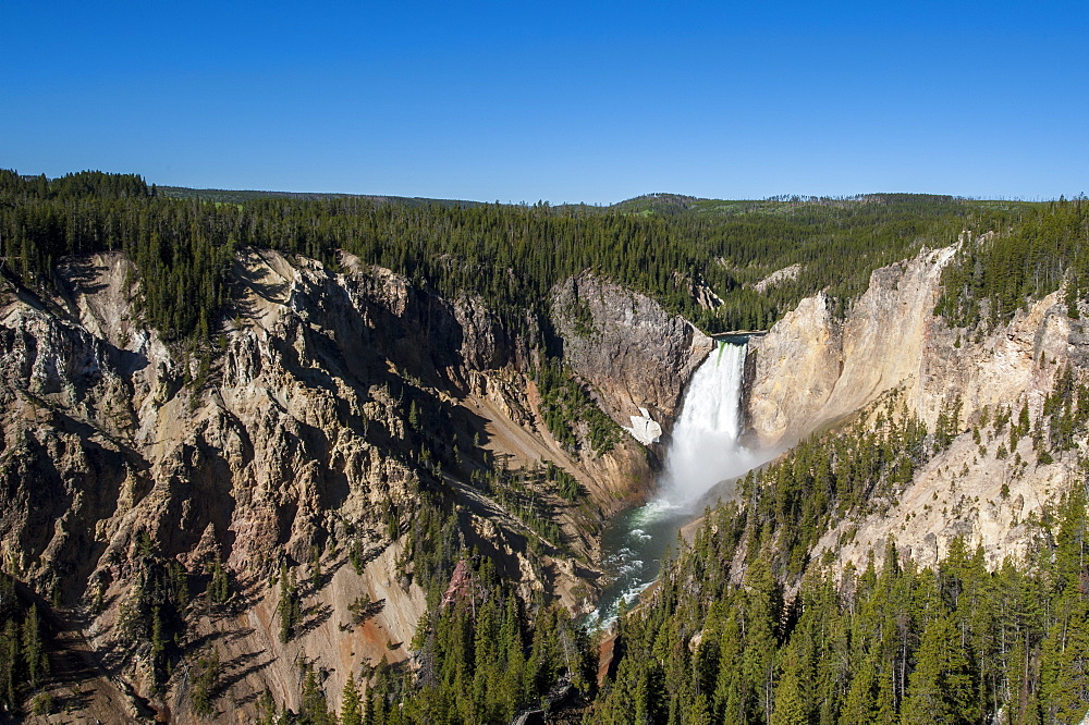 Lower Falls, Yellowstone National Park, UNESCO World Heritage Site, Wyoming, United States of America, North America