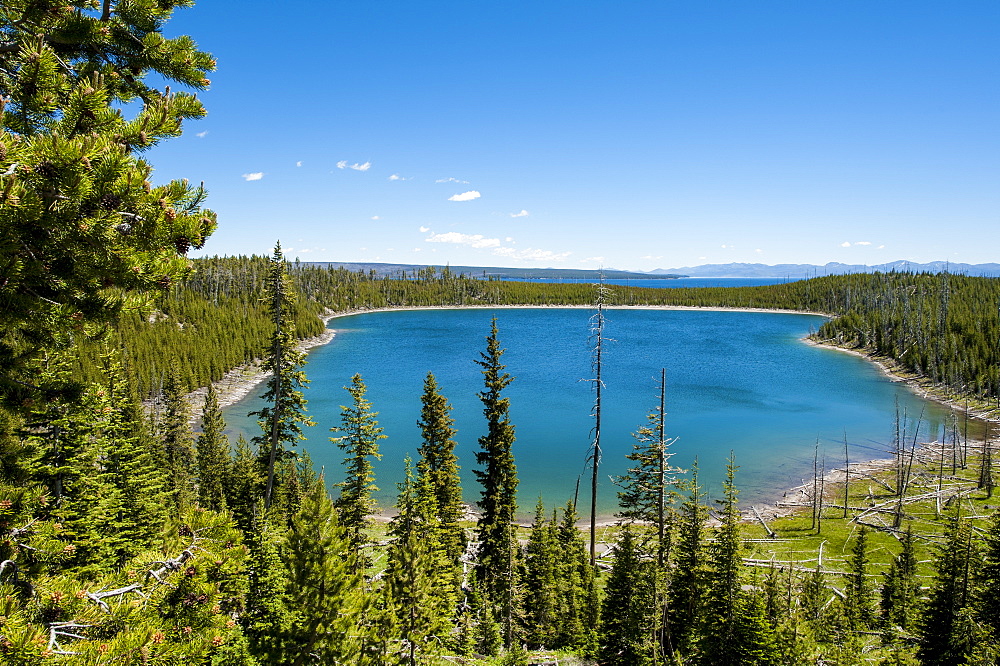 Duck Lake in Yellowstone National Park, UNESCO World Heritage Site, Wyoming, United States of America, North America