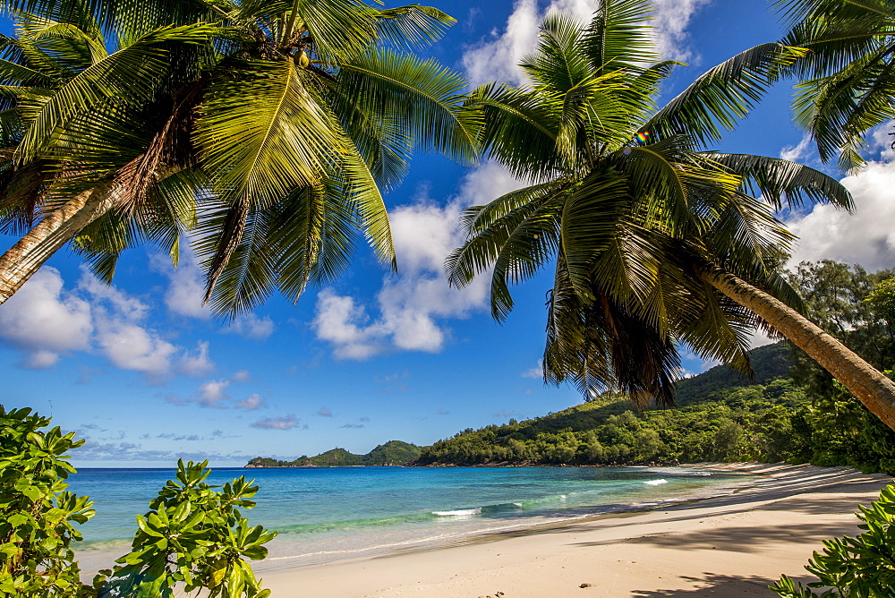 Petit Police Bay Beach, Mahe, Republic of Seychelles, Indian Ocean, Africa