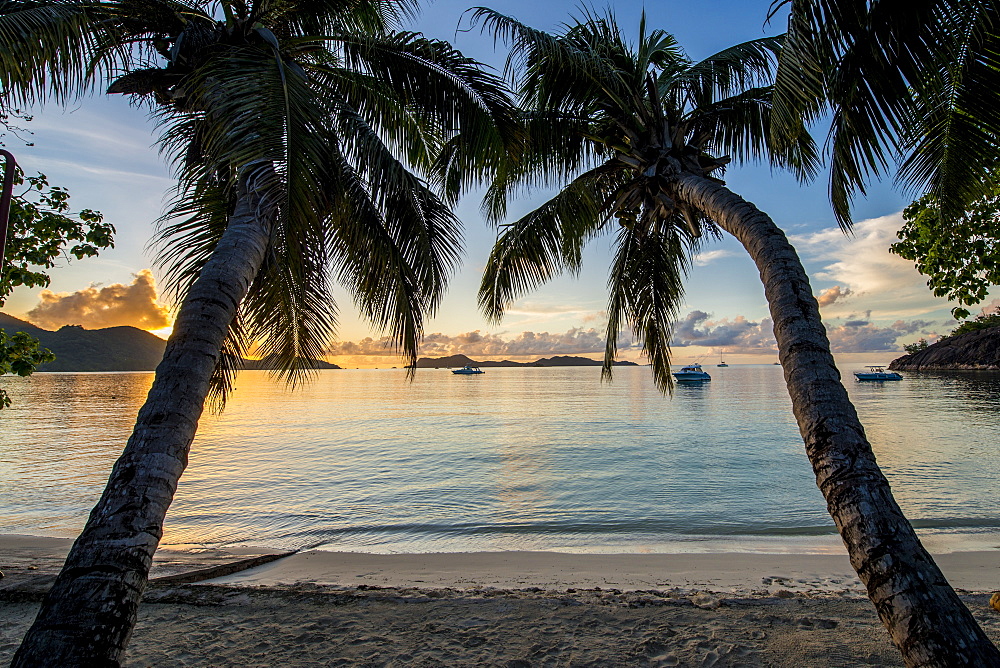 Anse Government beach, Praslin, Republic of Seychelles, Indian Ocean, Africa