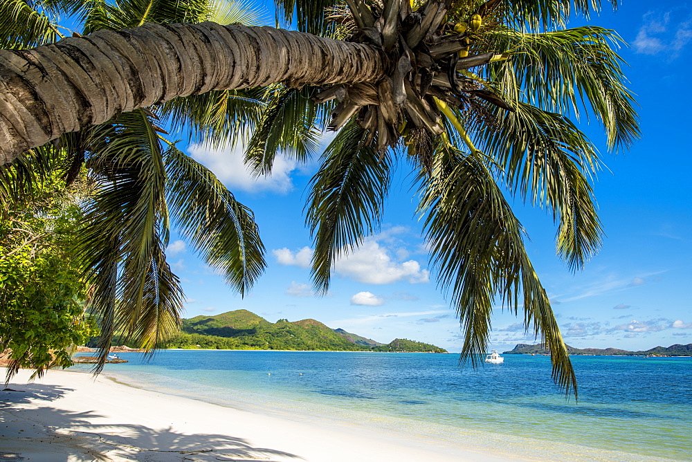 Anse Government beach, Praslin, Republic of Seychelles, Indian Ocean, Africa