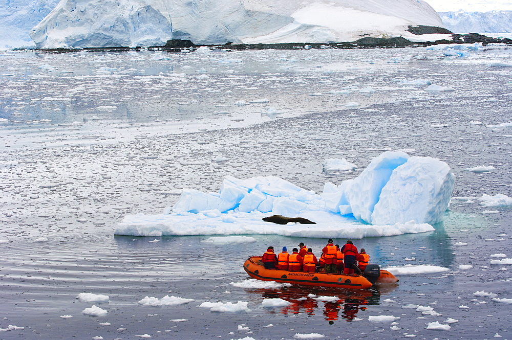 Exploring Paradise Bay, Antarctica, Polar Regions