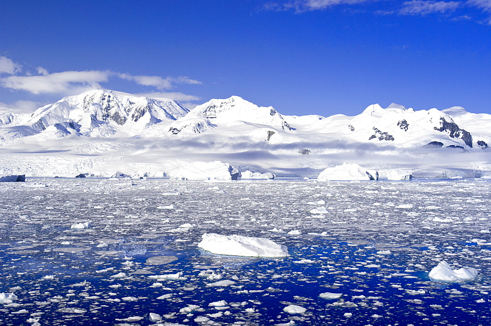 Neko Cove (Harboor), Antarctica, Polar Regions