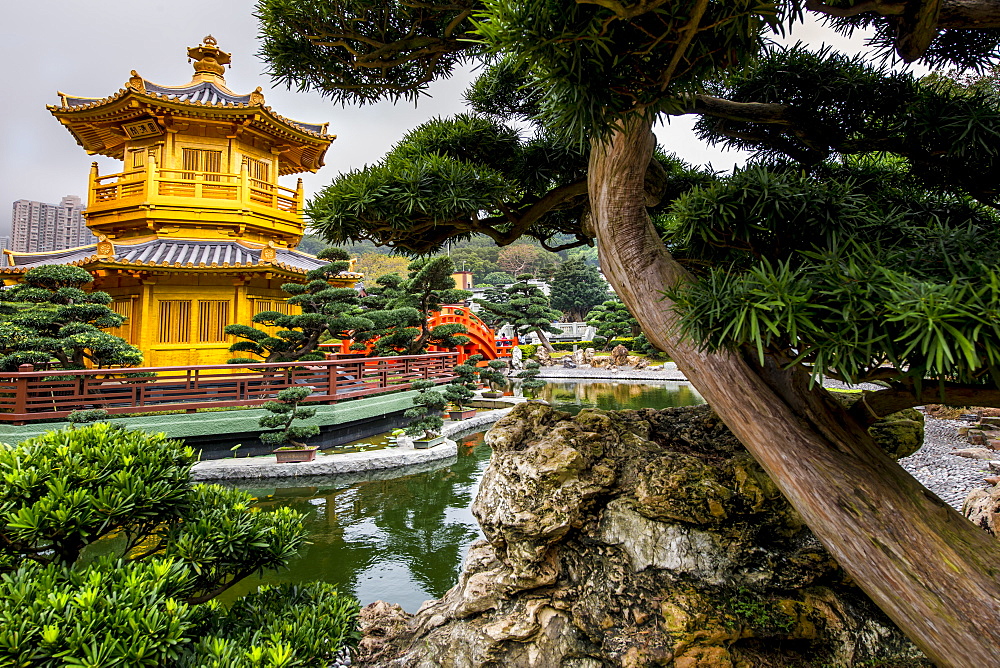 The pagoda at the Chi Lin Nunnery and Nan Lian Garden, Kowloon, Hong Kong, China, Asia