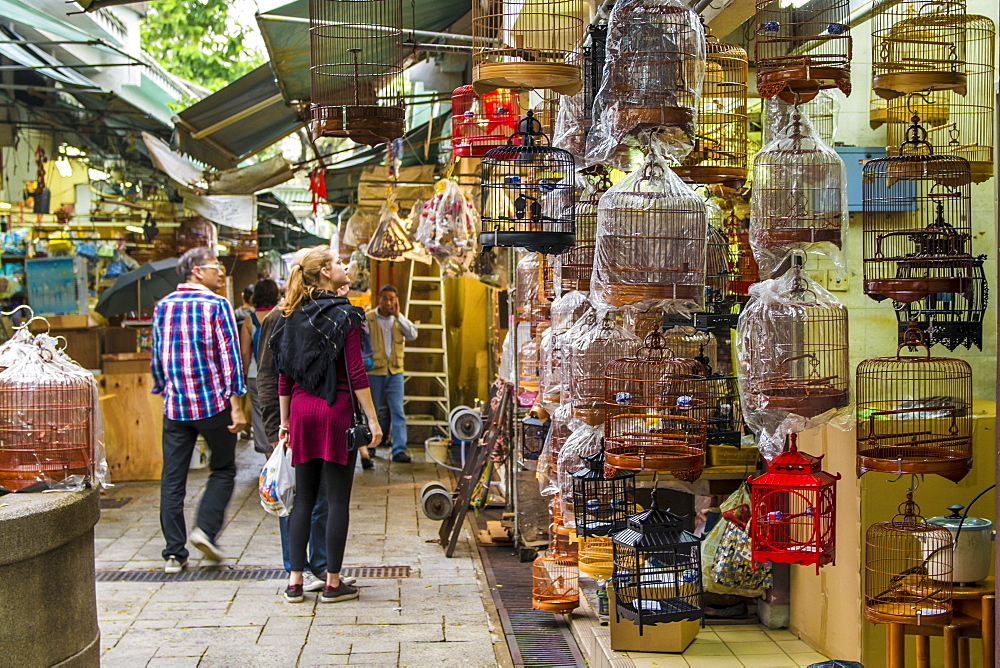 Yuen Po Street Bird Garden market, Mongkok, Kowloon, Hong Kong, China, Asia