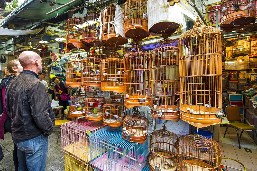 Yuen Po Street Bird Garden market, Mongkok, Kowloon, Hong Kong, China, Asia