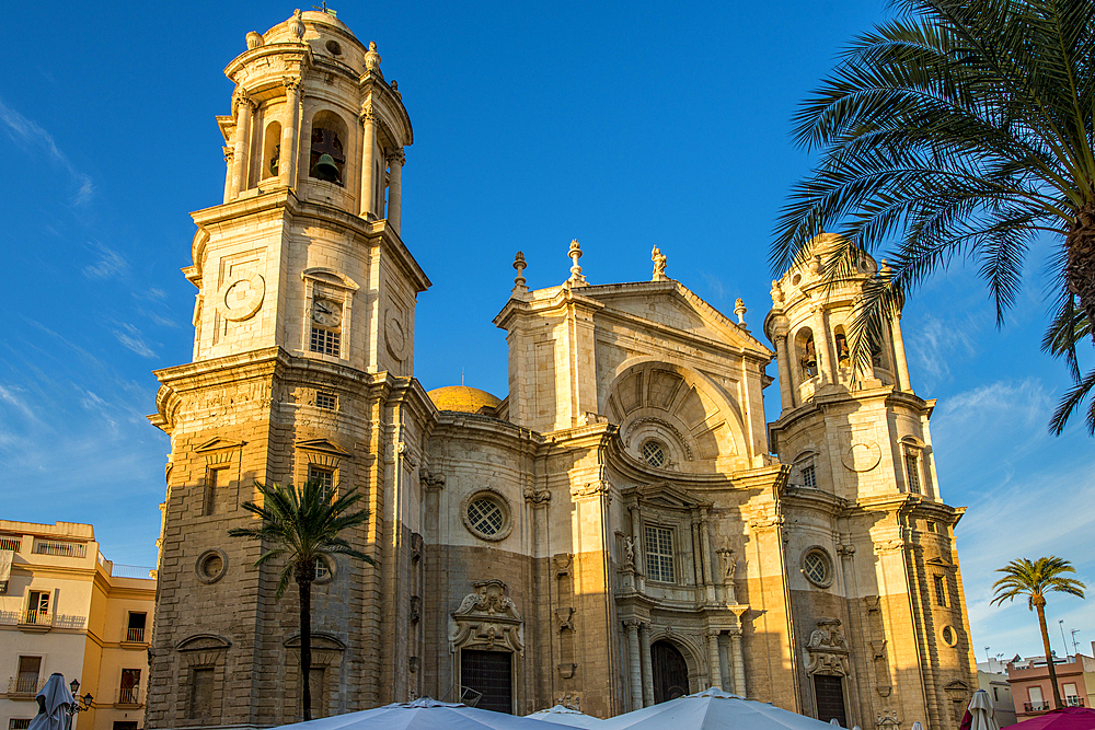 The Catedral de la Santa Cruz (Cathedral of the Holy Cross), old town, Cadiz, Andalucia, Spain, Europe