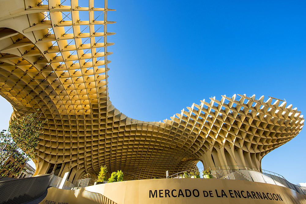 Mushroom shaped roof of Mercado de la Encarnacion (Encarnacion Market), Seville, Andalusia, Spain, Europe